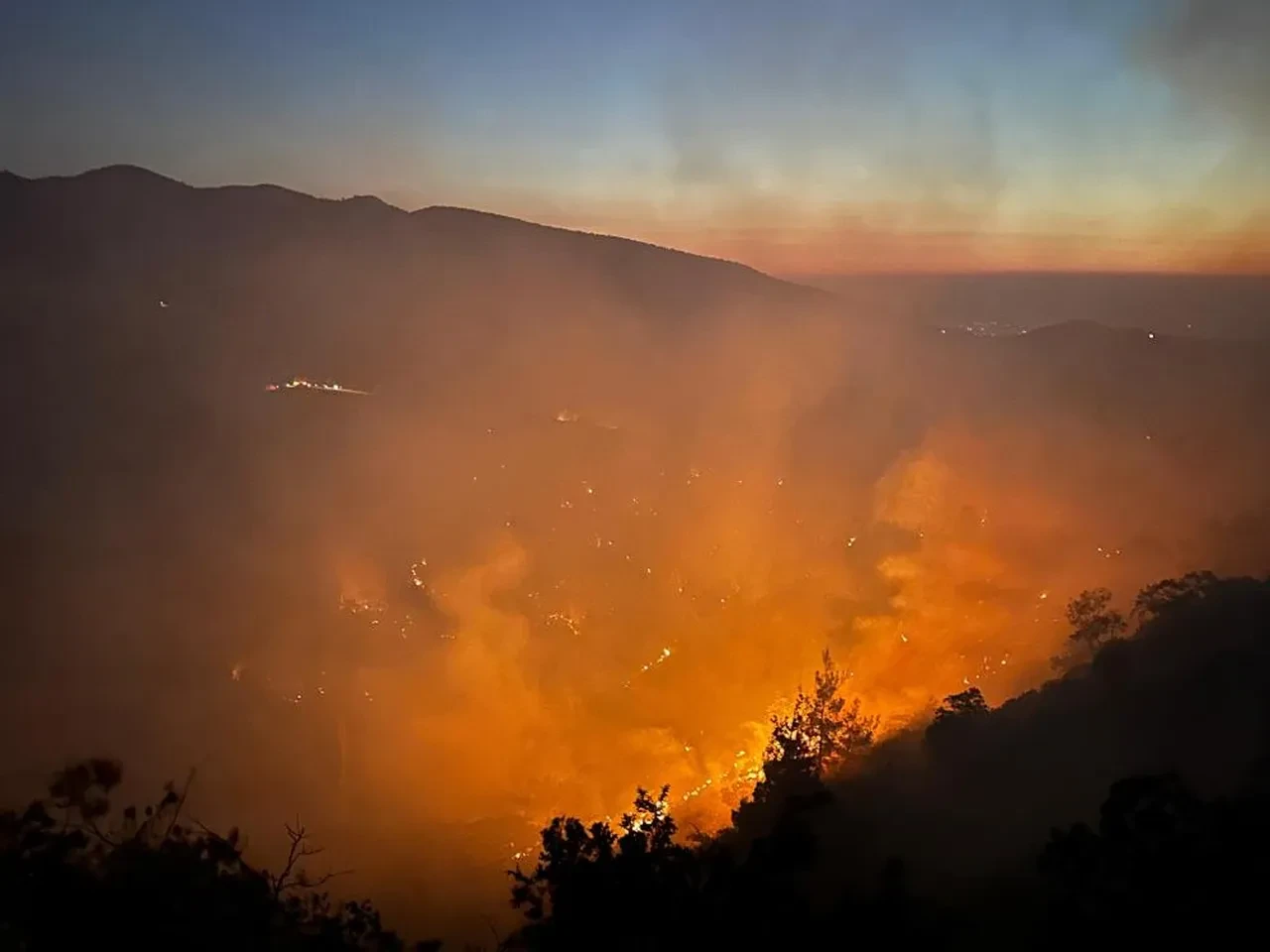 Manisa ve Uşak'ta orman yangını! Alevler kontrol altına alındı