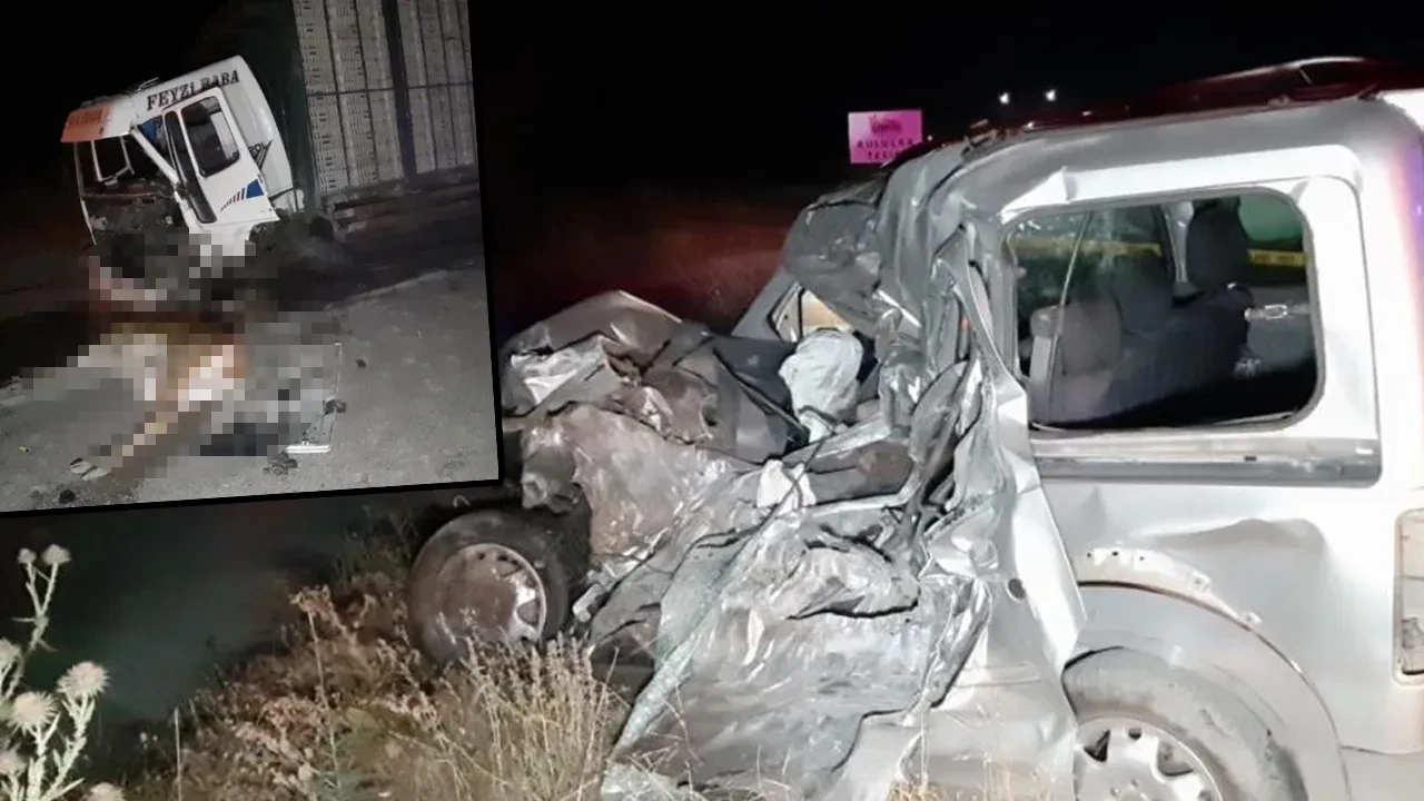Önce geyiğe sonra kamyona çarptı! Feci kazada ölü ve yaralı var