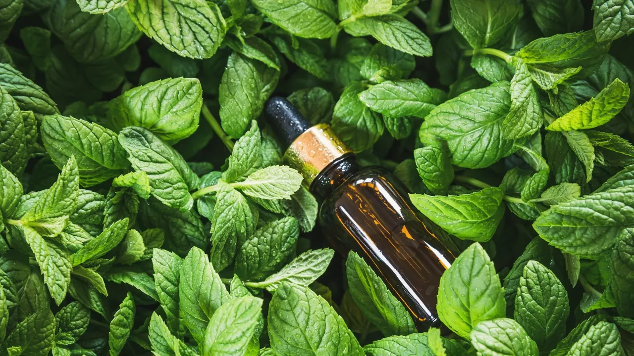 Sıcak havalarda anında serinletiyor! Bir fıs bileklerinize sıkmanız yeterli oluyor