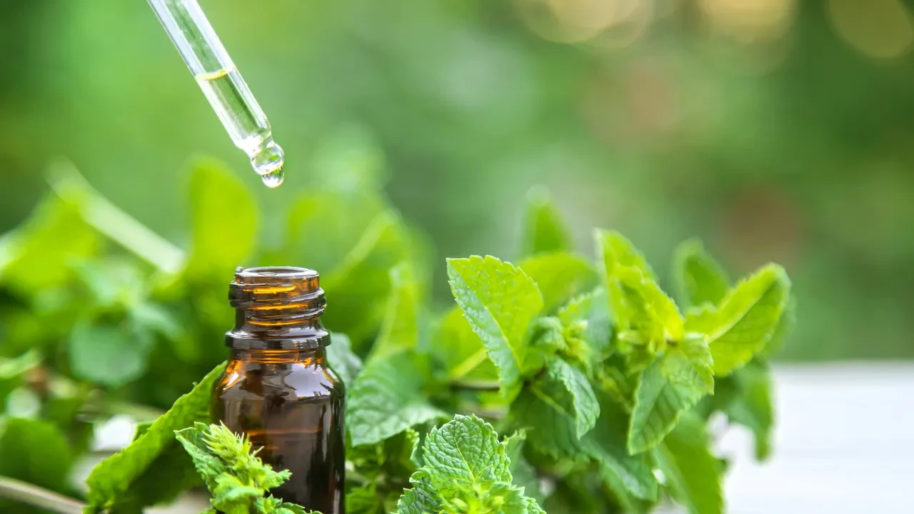 Sıcak havalarda anında serinletiyor! Bir fıs bileklerinize sıkmanız yeterli oluyor