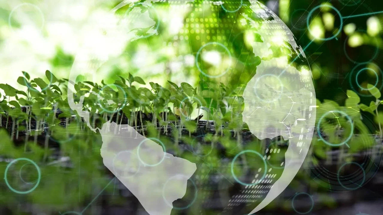 Türkiye'nin ilk İklim Kanunu Resmi Gazete'de