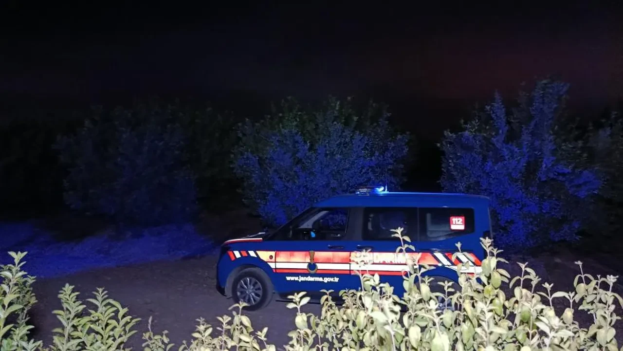 Adana'da uçak düştü! Vali Köşger'den açıklama