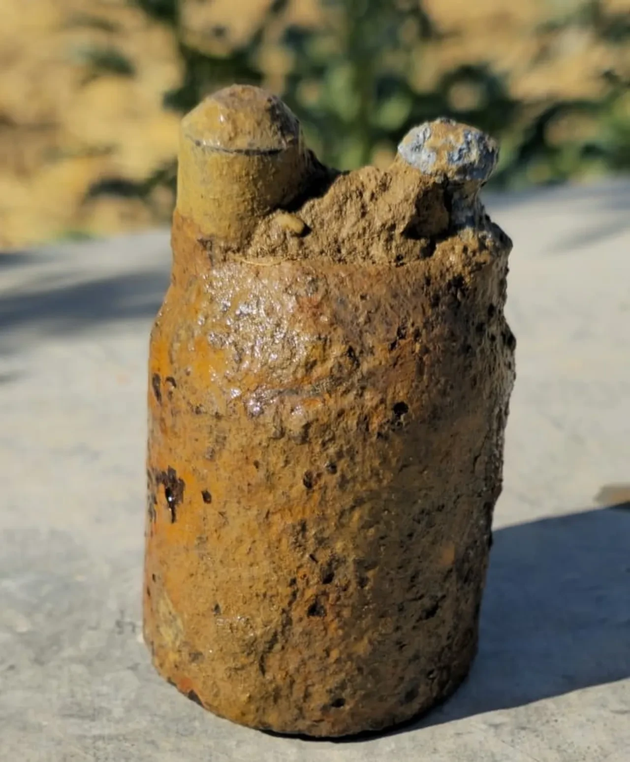 Bahçesini sularken birden çıktı: Ölümle burun buruna geldim, Allah korudu