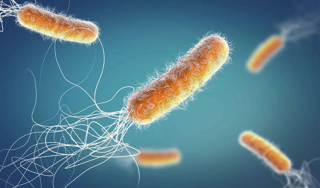 Bir dilim kek tüm ülkeye korku saldı! Salgın faciaya dönüştü