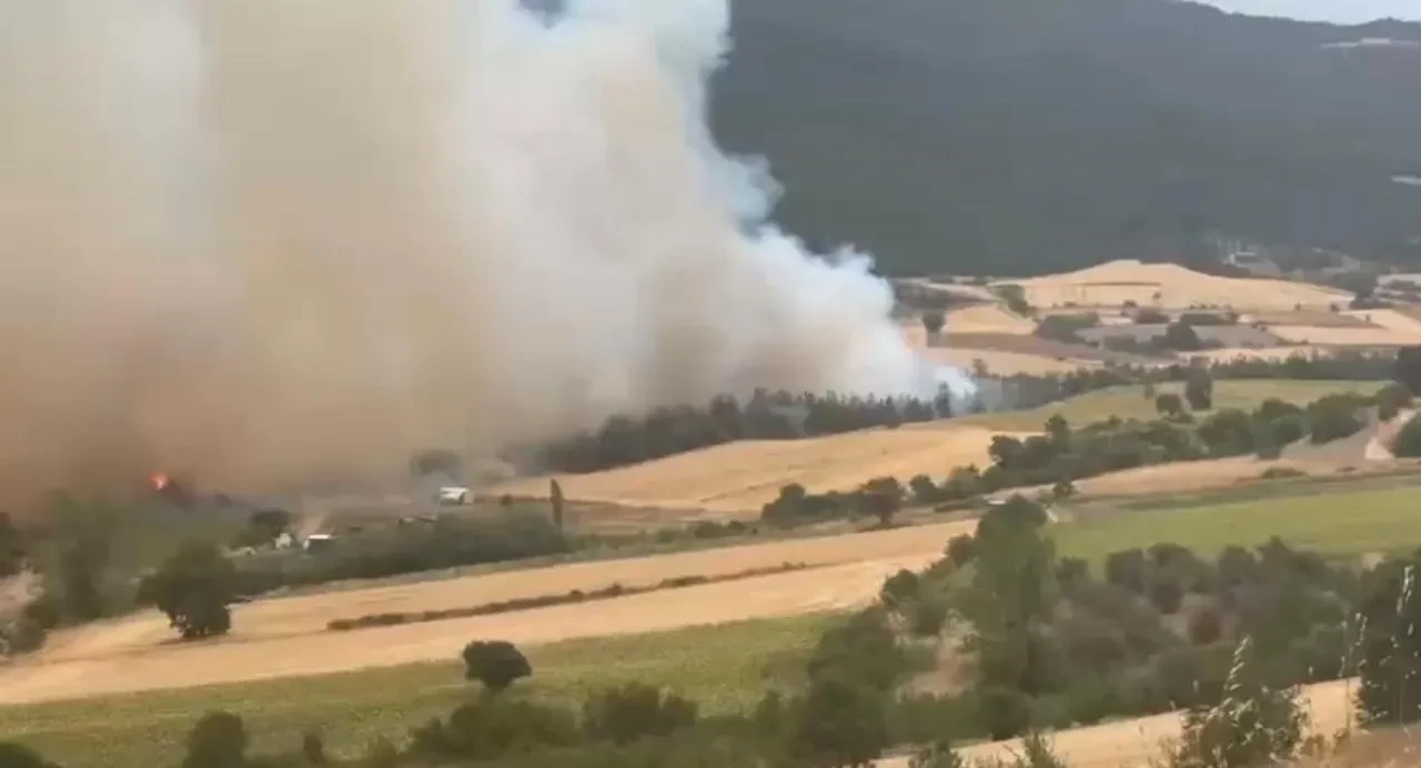 Bursa Yenişehir'de orman yangını kontrol altına alındı 