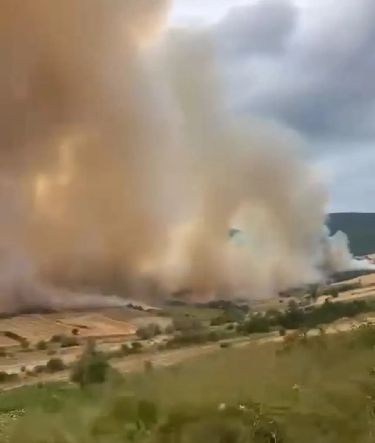 Bursa Yenişehir'de orman yangını kontrol altına alındı 