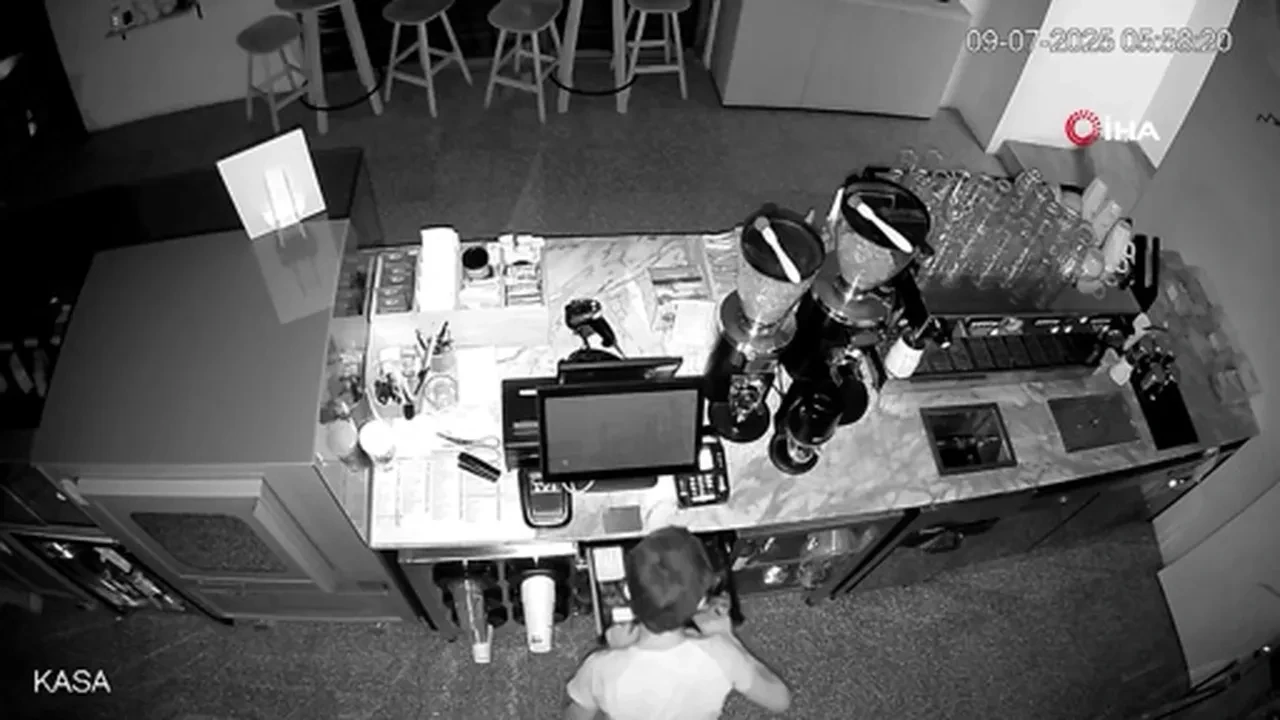 Diyarbakır'da fren operasyonu! Hırsızlık sonrası havuzda keyif yapmış