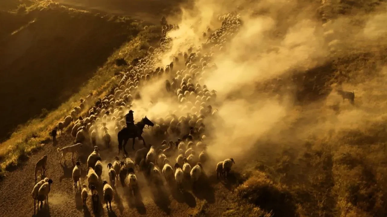 Filmleri aratmayan görüntüler! Burası Afrika değil Bitlis