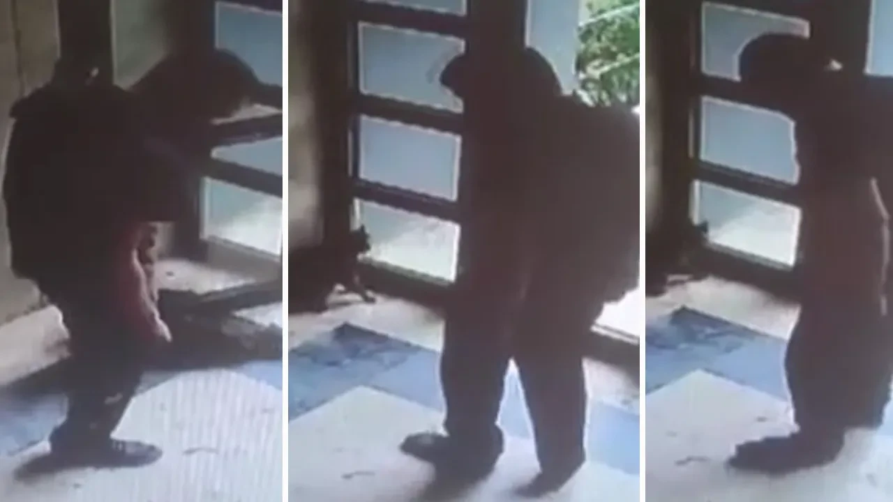 Kediyi binanın içinde katletti! Görüntüler sonrası Adalet Bakanı da harekete geçti