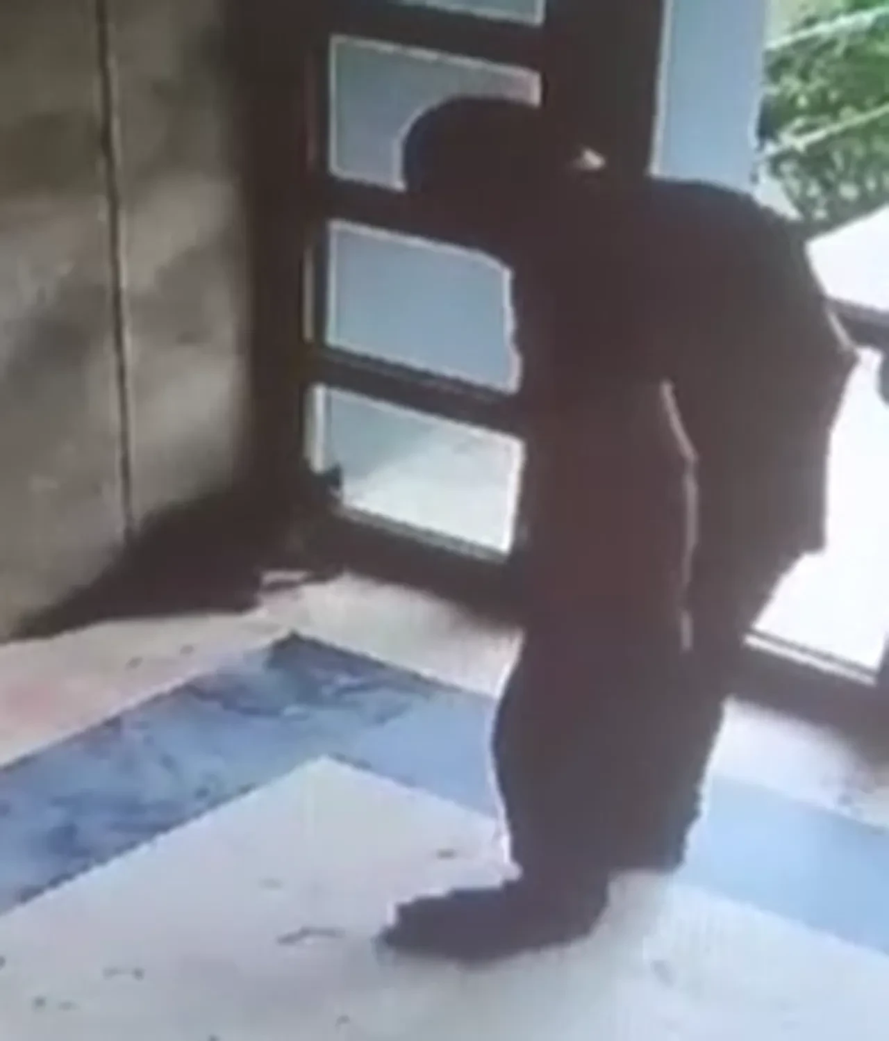 Kediyi binanın içinde katletti! Görüntüler sonrası Adalet Bakanı da harekete geçti