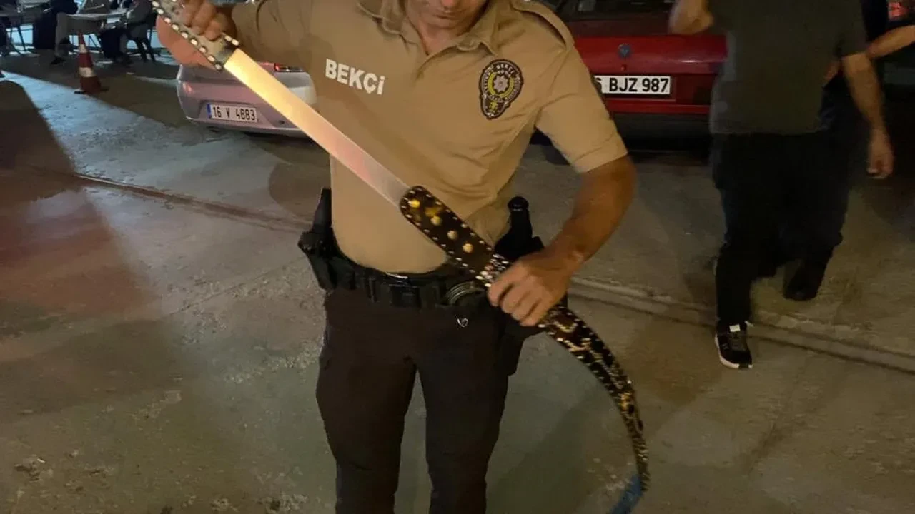 Kemerinin içinden öyle bir şey çıktı ki! Zabıtalar da şaşkına döndü