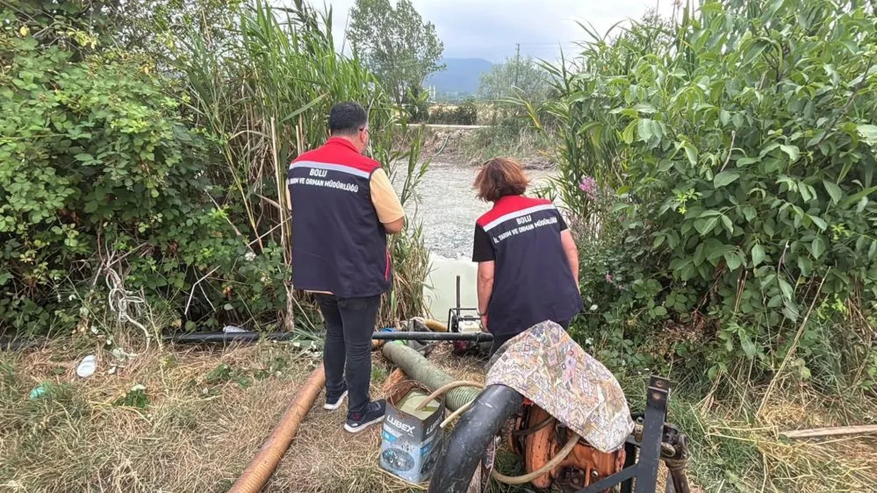 Kuruyan gölet balıklara mezar oldu: Ekipler harekete geçti!