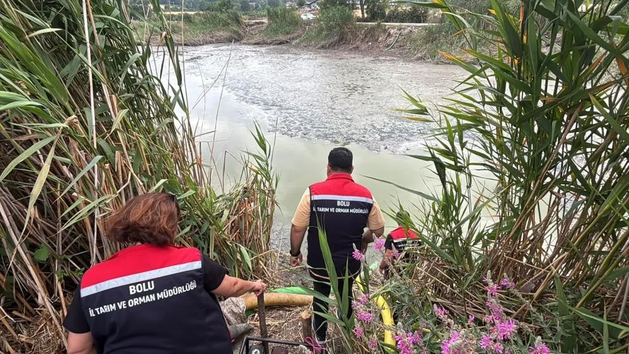 Kuruyan gölet balıklara mezar oldu: Ekipler harekete geçti!