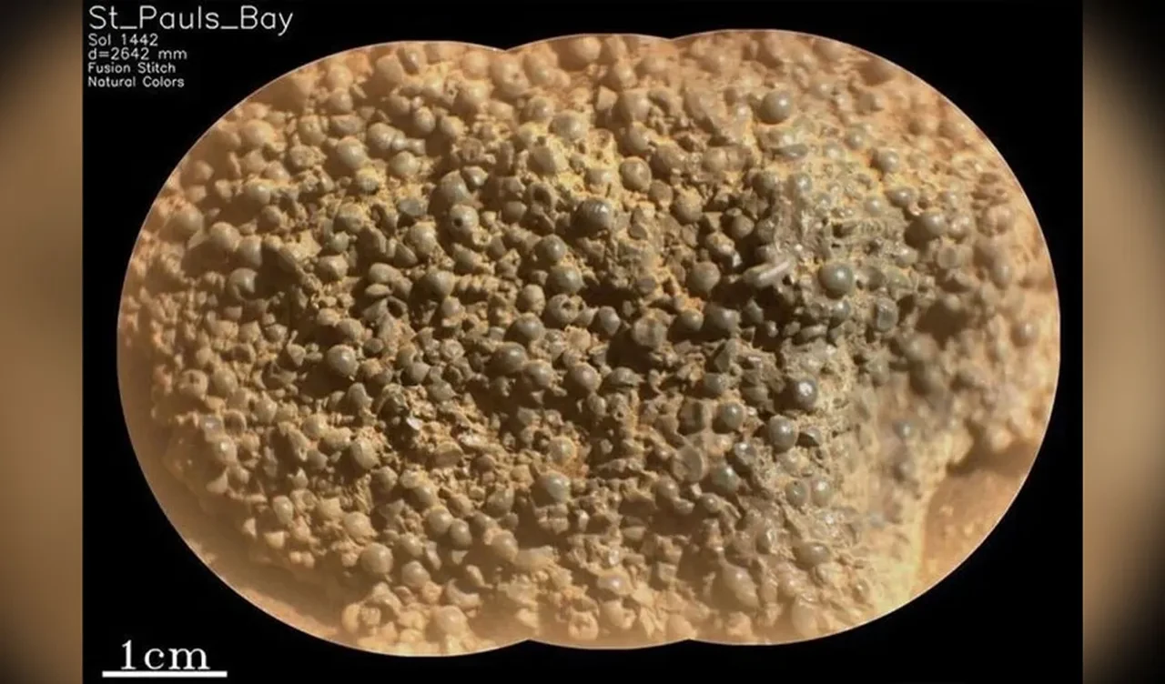 Mars'ta "yaban mersini küreleri" bulundu! Hikaye bambaşka çıktı