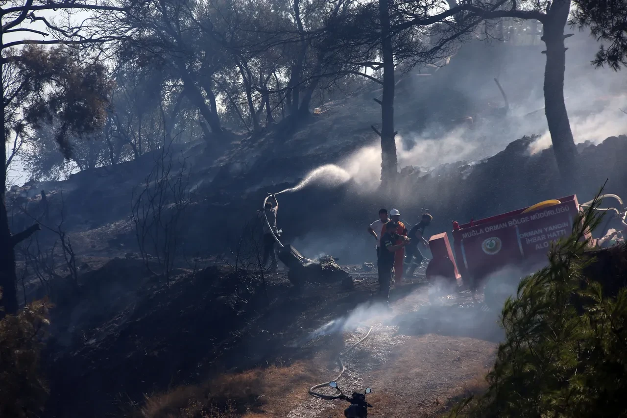 Ormanlarda 'Programlı yangın' iddiası! OGM'den açıklama geldi