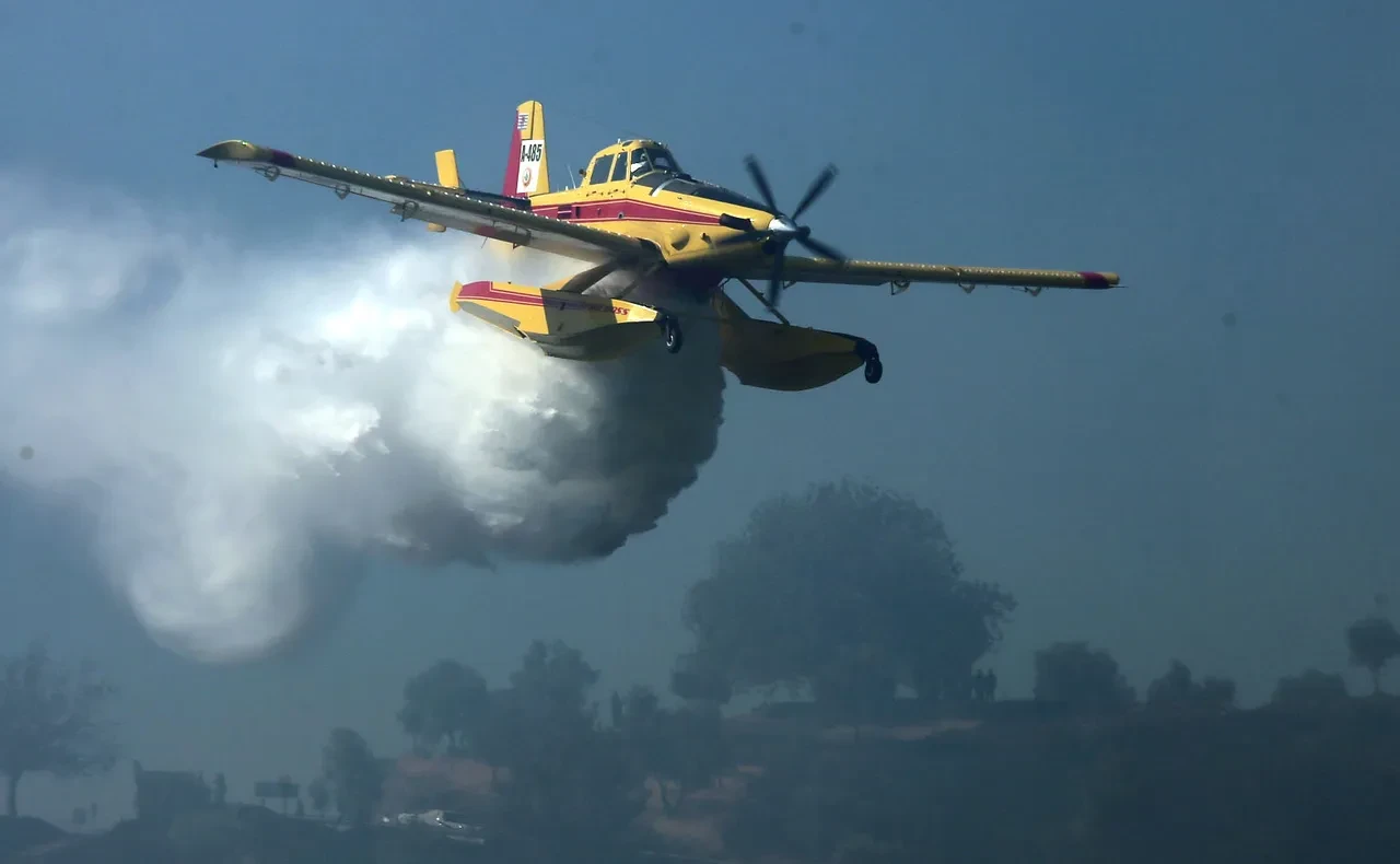 Ormanlarda 'Programlı yangın' iddiası! OGM'den açıklama geldi