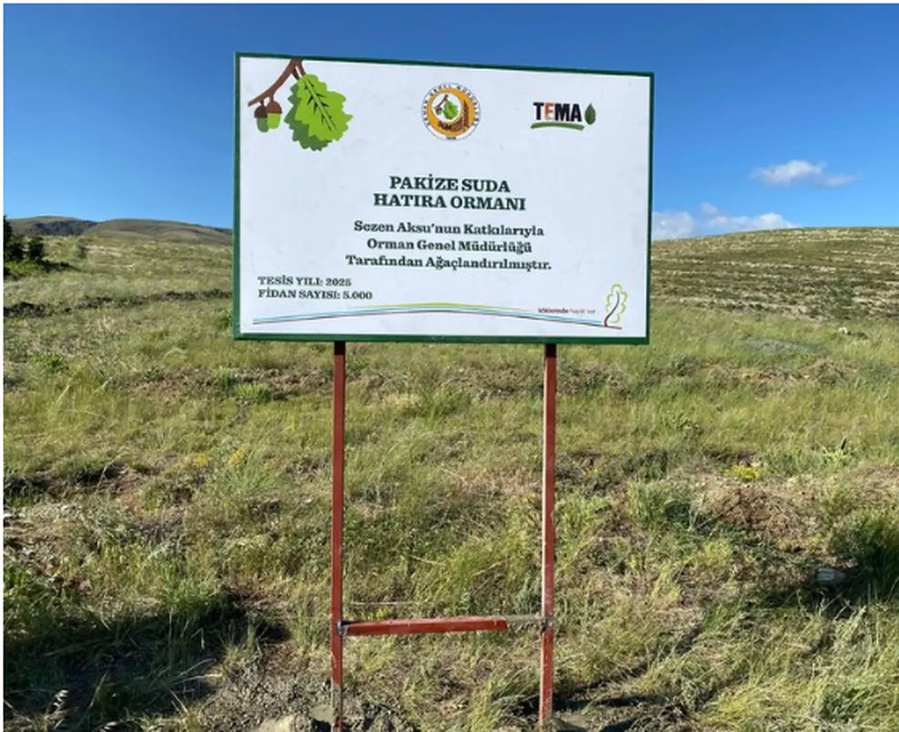 Sezen Aksu, Pakize Suda'yı unutmadı! Adını hatıra ormanı ile yaşatacak