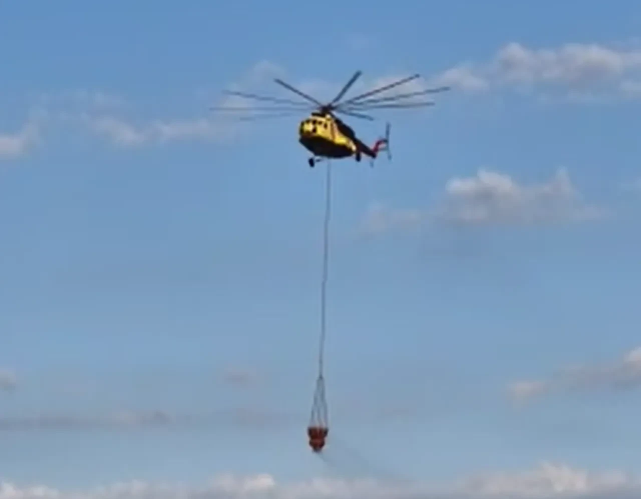 Tekirdağ'da orman yangını: Ekipler seferber oldu!