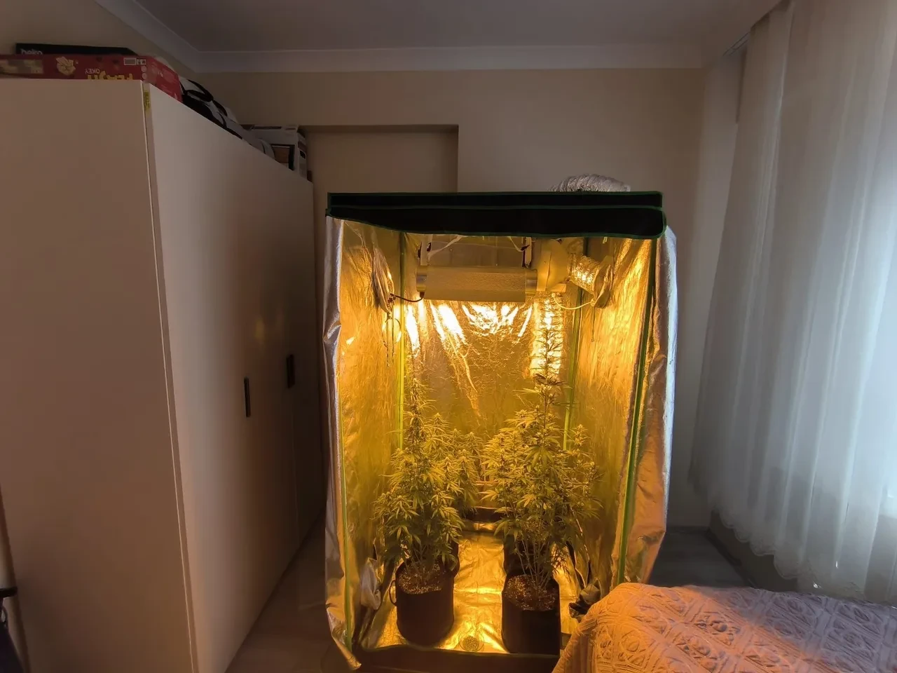 Tunceli'de uyuşturucu operasyonu: 10 gözaltı