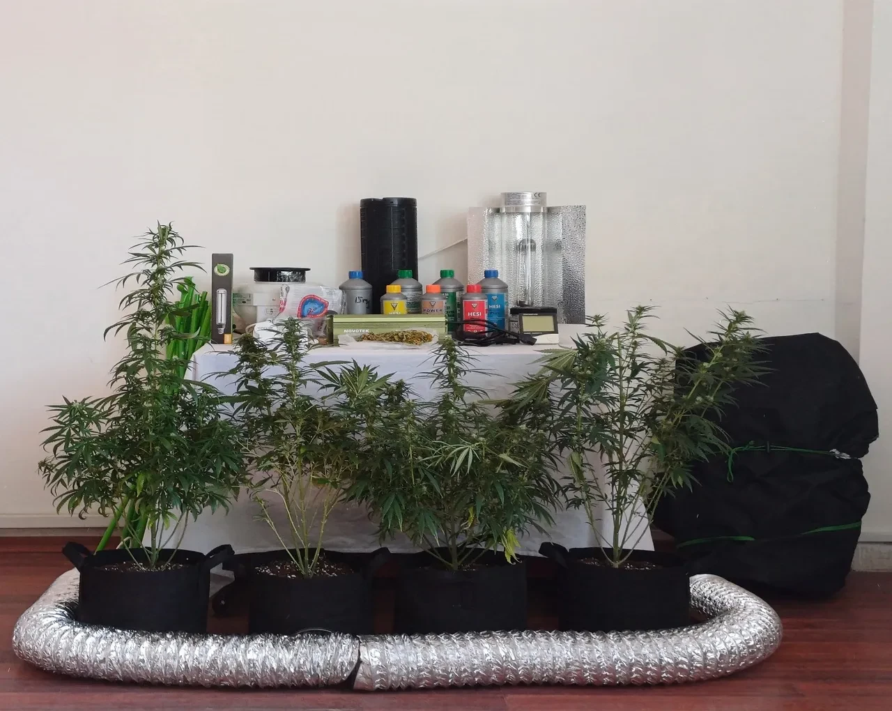 Tunceli'de uyuşturucu operasyonu: 10 gözaltı