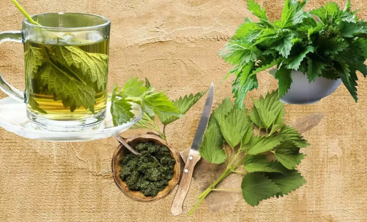 Vücuttaki ödemi atıyor, şişkinliği yok ediyor! Bu çaylar ödem problemini hemen çözüyor 