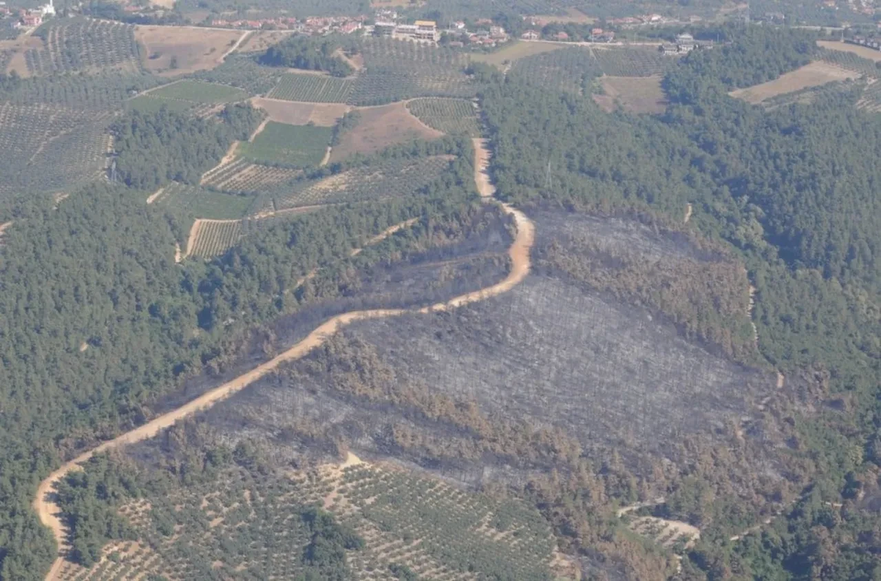 Bursa için seferberlik başladı!
