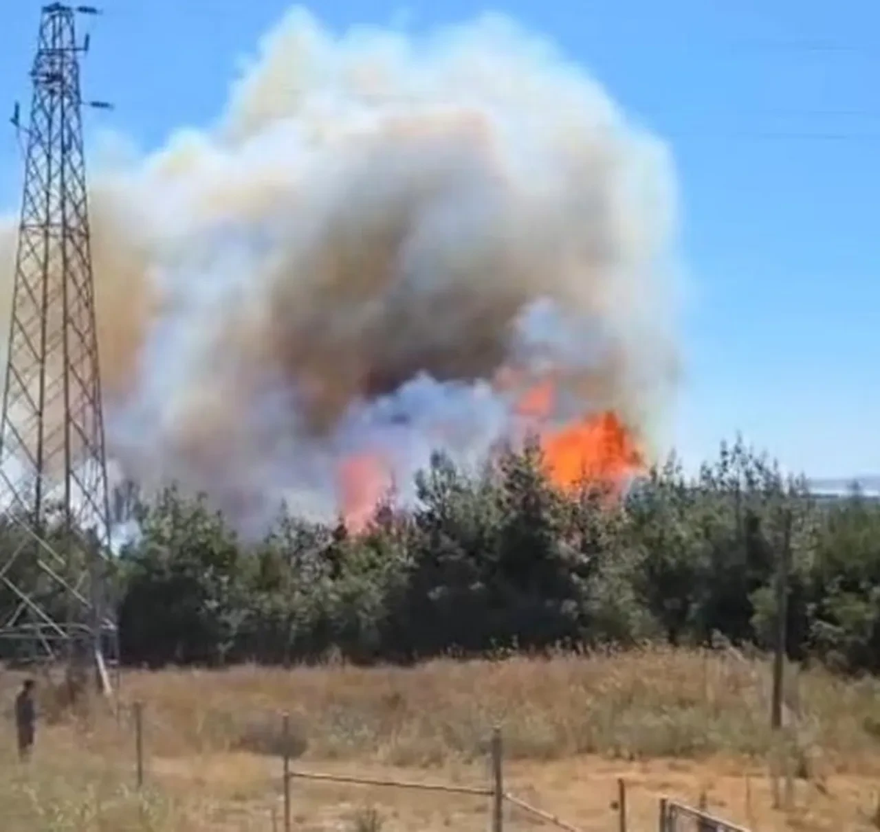 Çanakkale yine yanıyor! Tarım arazisinde başladı, ormanlık alana sıçradı