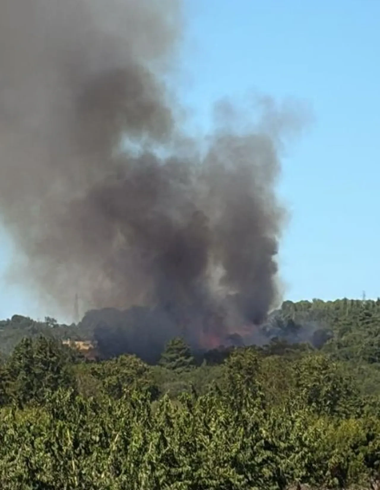 Çanakkale yine yanıyor! Tarım arazisinde başladı, ormanlık alana sıçradı