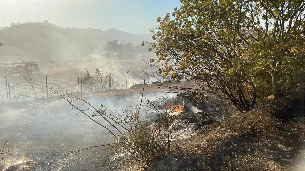 Pamukova yangın son dakika söndürüldü mü? Sakarya yangınına çok sayıda ekip gönderildi