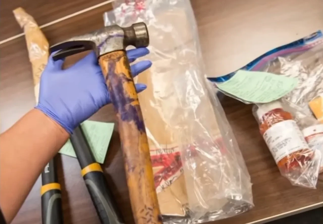 Parti yapmasına izin vermeyen anne babasını öldürdü! Cesetleri saklayıp 60 kişiyi davet etti