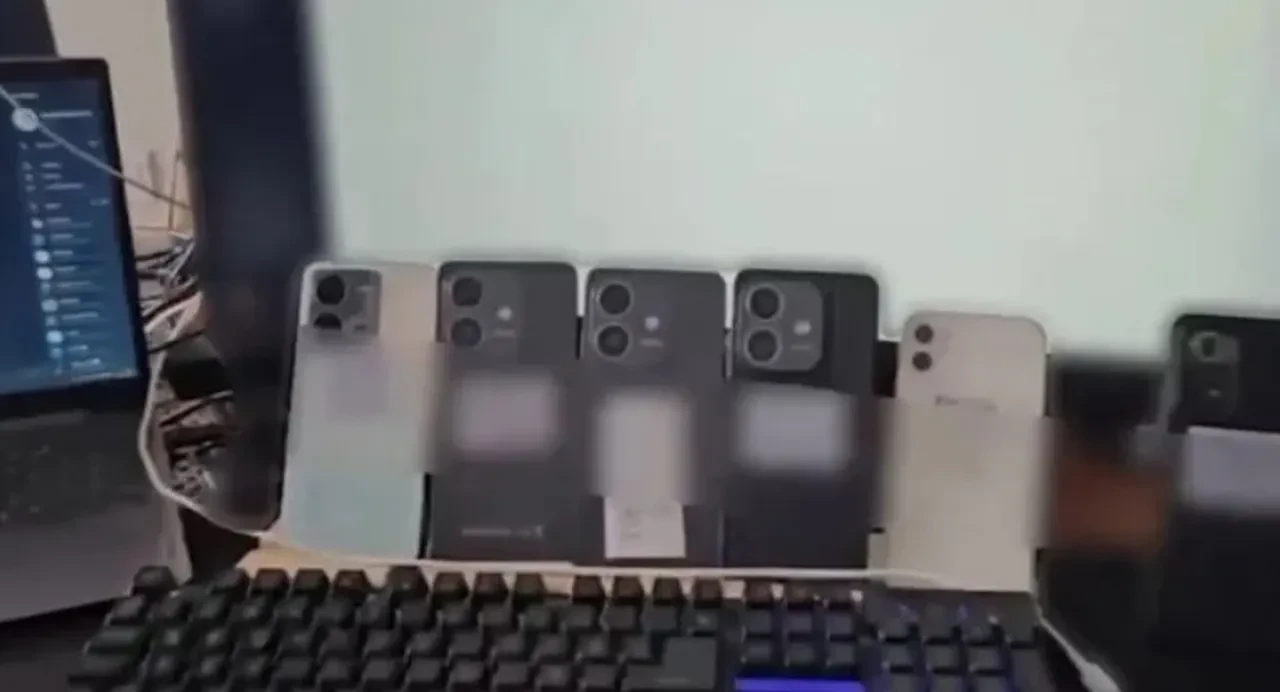 Taciz, müstehcenlik, yasa dışı bahis! 44 şehirde dev operasyon! 99 kişi tutuklandı