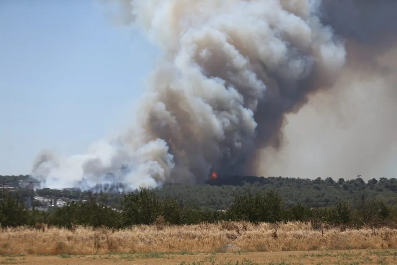Çanakkale'de orman yangını! Tahliyeler başladı, uçuşlar durdu: Trafiğe çıkmayın 