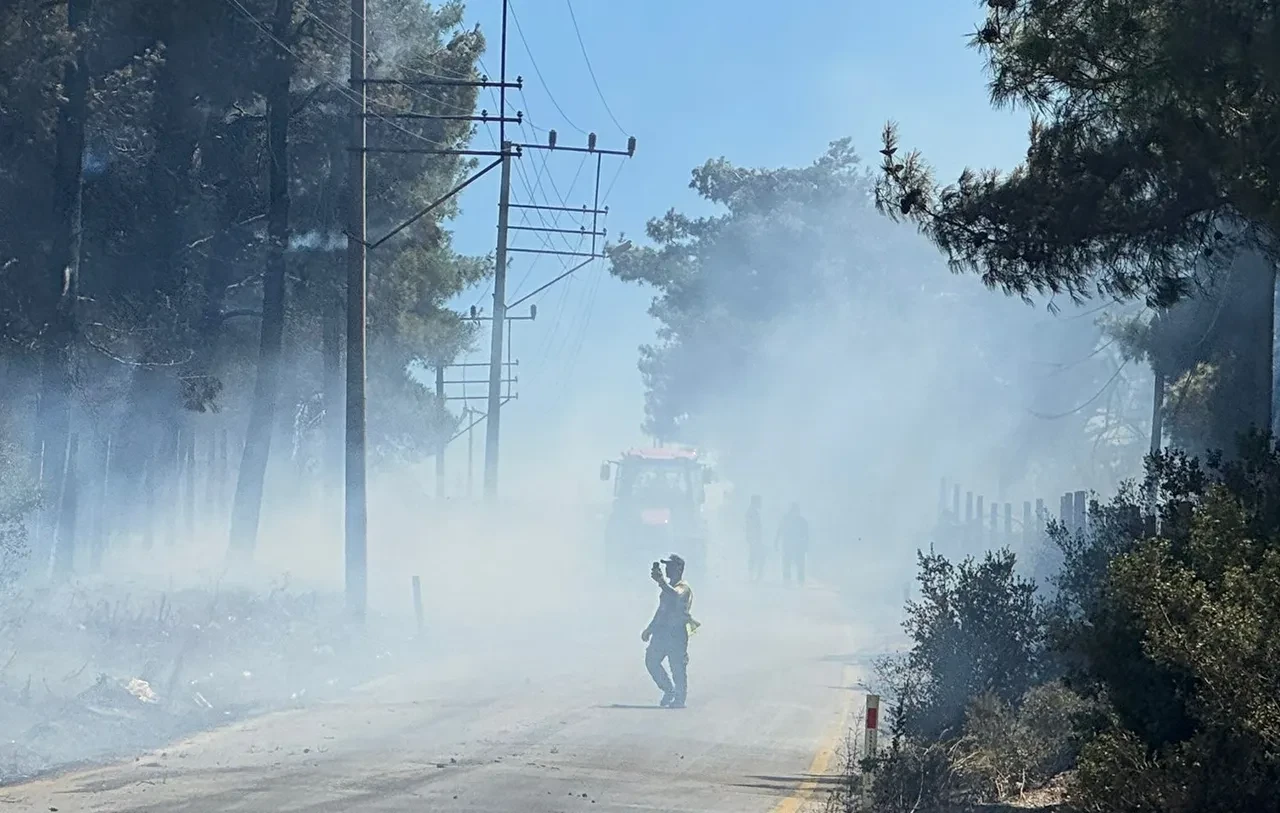 Çanakkale'de orman yangını! Tahliyeler başladı, uçuşlar durdu: Trafiğe çıkmayın 