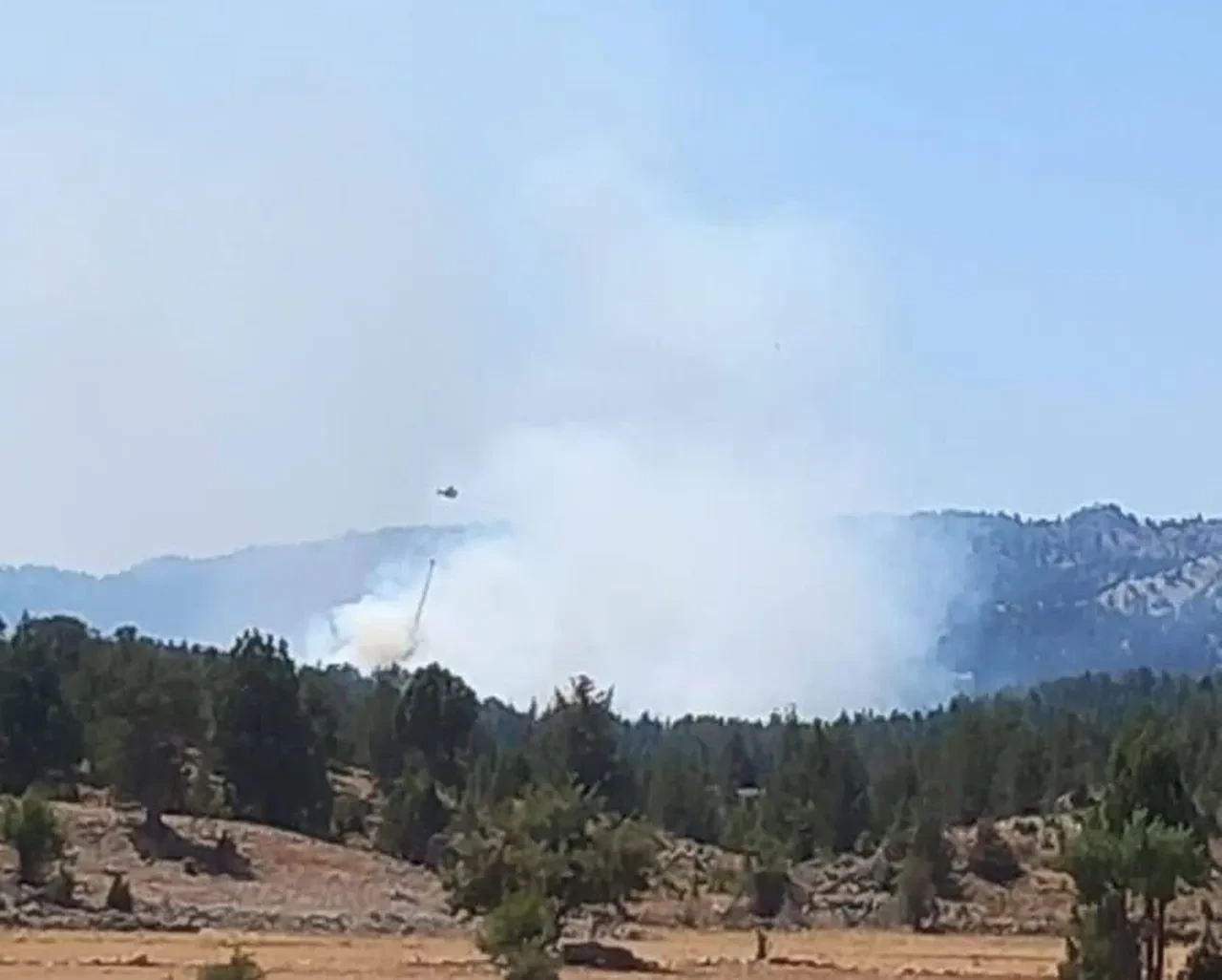 Çanakkale'de orman yangını! Tahliyeler başladı, uçuşlar durdu: Trafiğe çıkmayın 