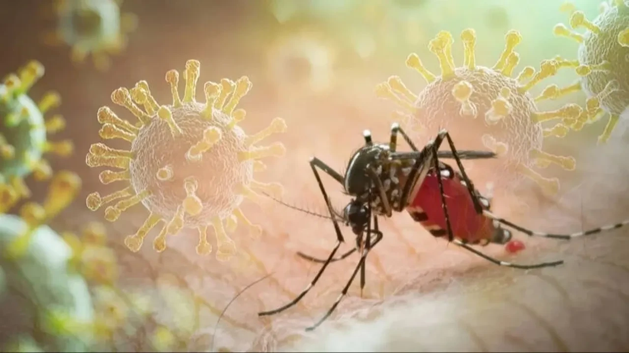 Hızla yayılan chikungunya virüsü yeni büyük tehdit!