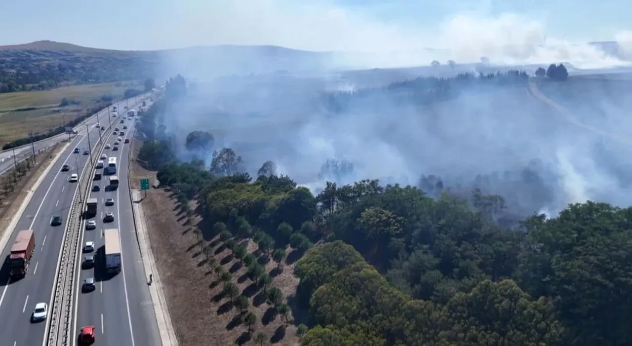 İstanbul'da korkutan yangın! Ağaçlık alandan alevler yükseldi: Ekipler bölgede