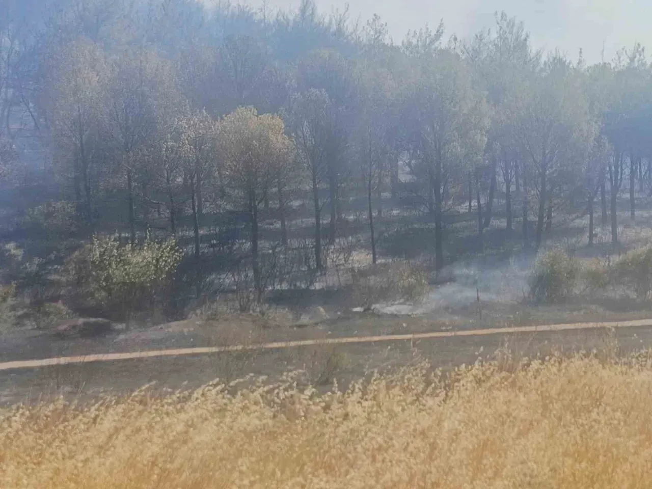 Soma yangın son durum ne söndürüldü mü? Bir mahalle boşaltıldı