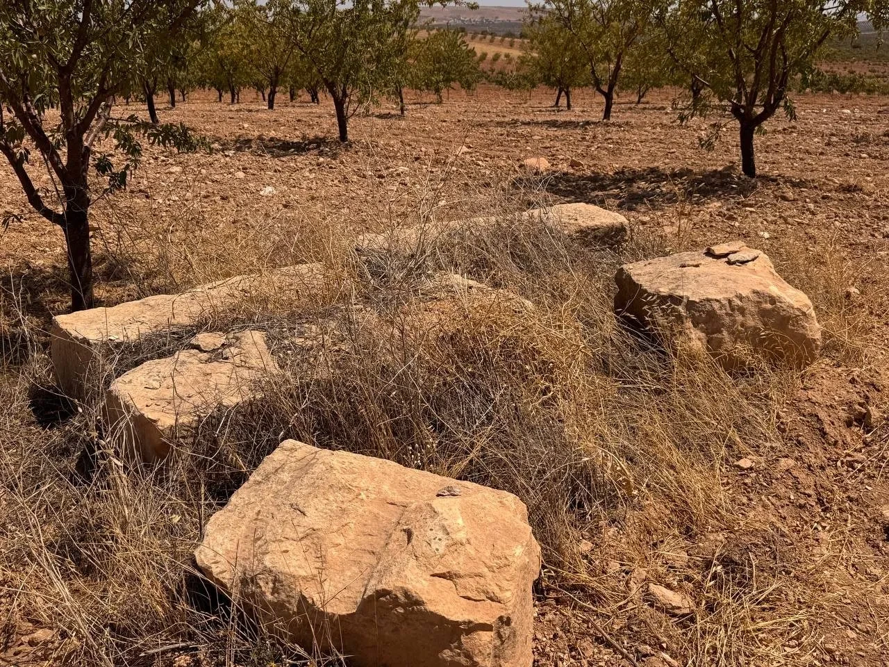 Yıllardır mağara sandılar, gerçek ortaya çıkınca gözlerine inanamadılar!