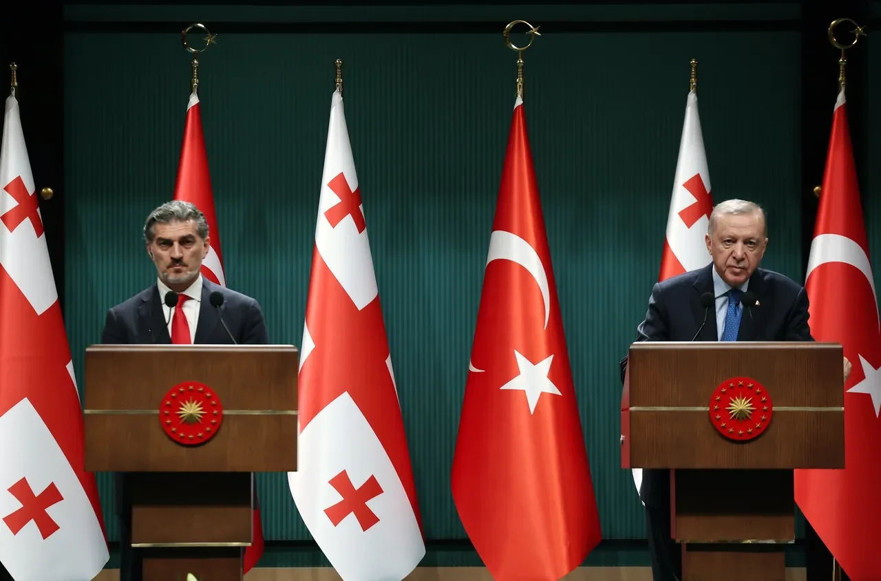 Cumhurbaşkanı Erdoğan Gürcistan Cumhurbaşkanı ile görüştü: Omuz omuza hareket etmeye devam edeceğiz