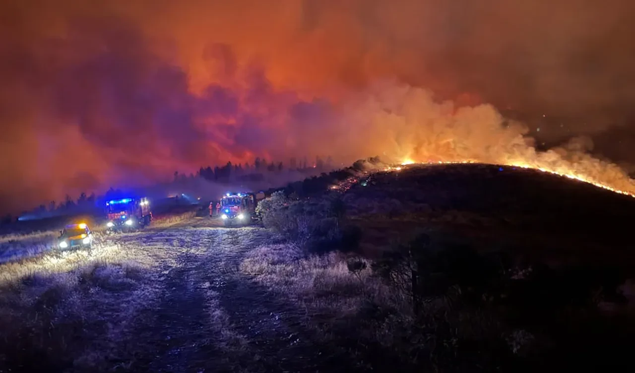 İspanya'daki orman yangınında 1 kişinin yüzde 98'i yandı, yaşam mücadelesini kaybetti