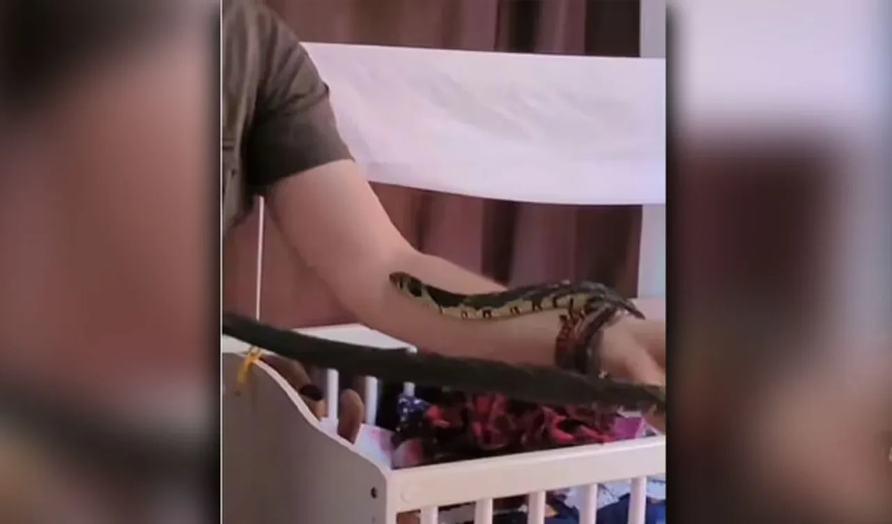 Yılanı beşikte gördü, dehşete düştü! Uzman isim imdadına yetişti