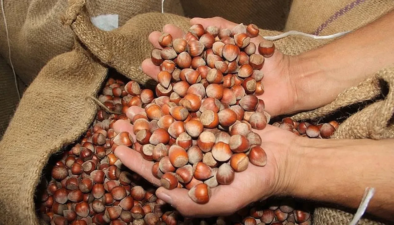 Avrupa’da Nutella krizi! Türkiye’ye alternatif arıyorlar