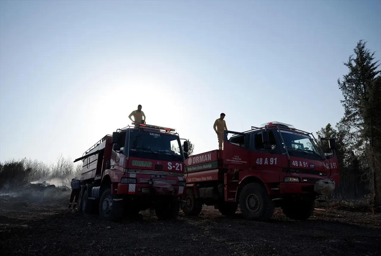 Hakkınız ödenmez! Orman işçilerinin takdire şayan mücadelesi 