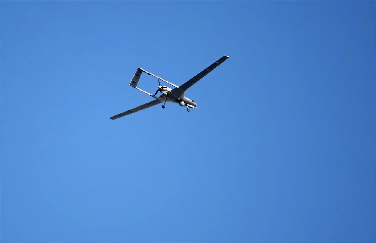 Hakkınız ödenmez! Orman işçilerinin takdire şayan mücadelesi 