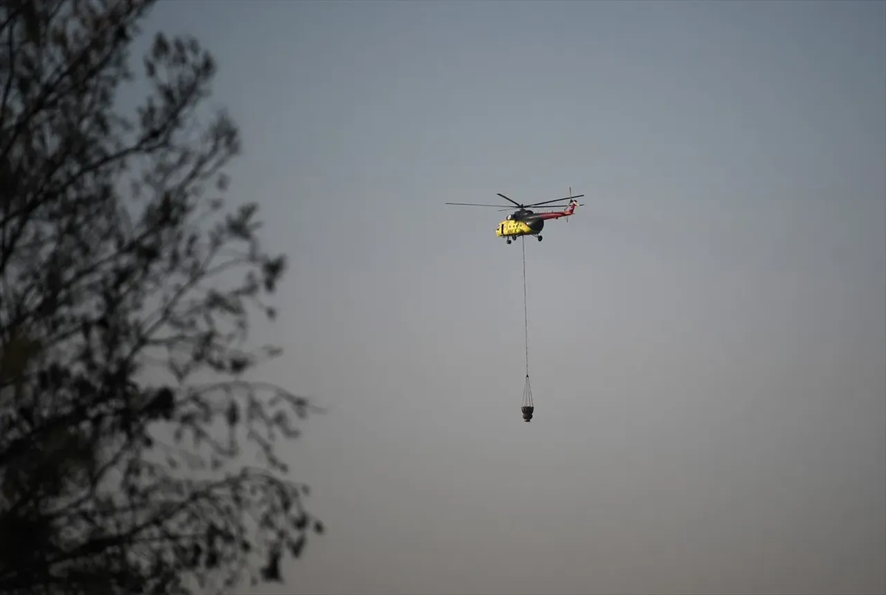 Hakkınız ödenmez! Orman işçilerinin takdire şayan mücadelesi 