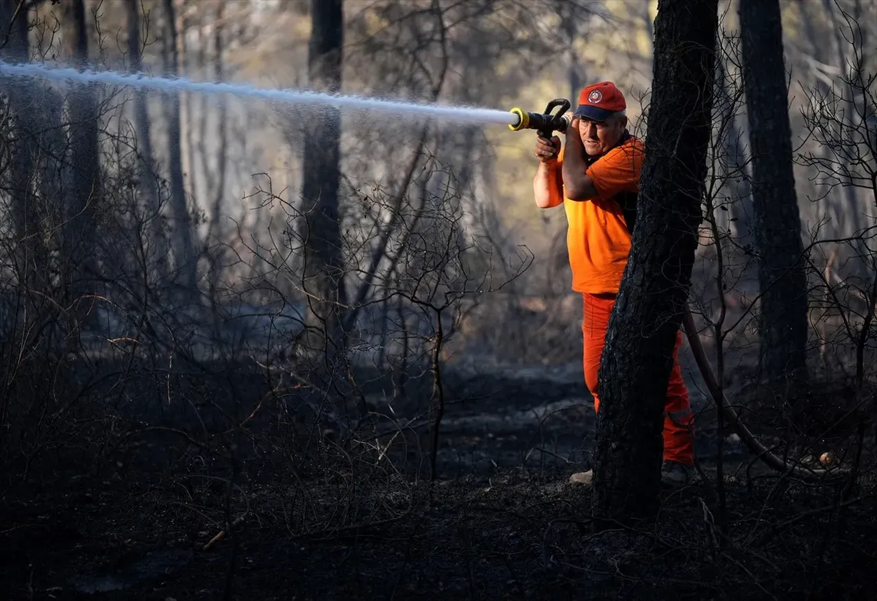 Hakkınız ödenmez! Orman işçilerinin takdire şayan mücadelesi 