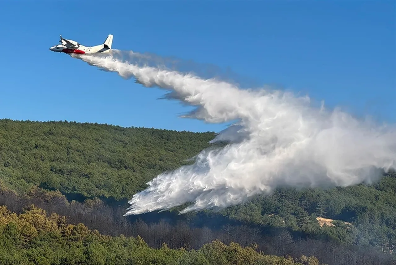 İzmir Karaburun Buca yangınları söndürüldü mü? Son gelişmeler merak ediliyor