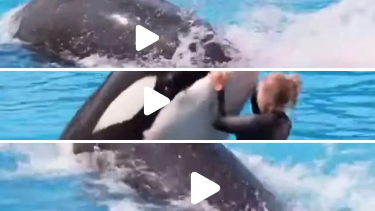 Jessica Radcliffe öldü mü? Balina saldırısı videosu sosyal medyada gündem oldu