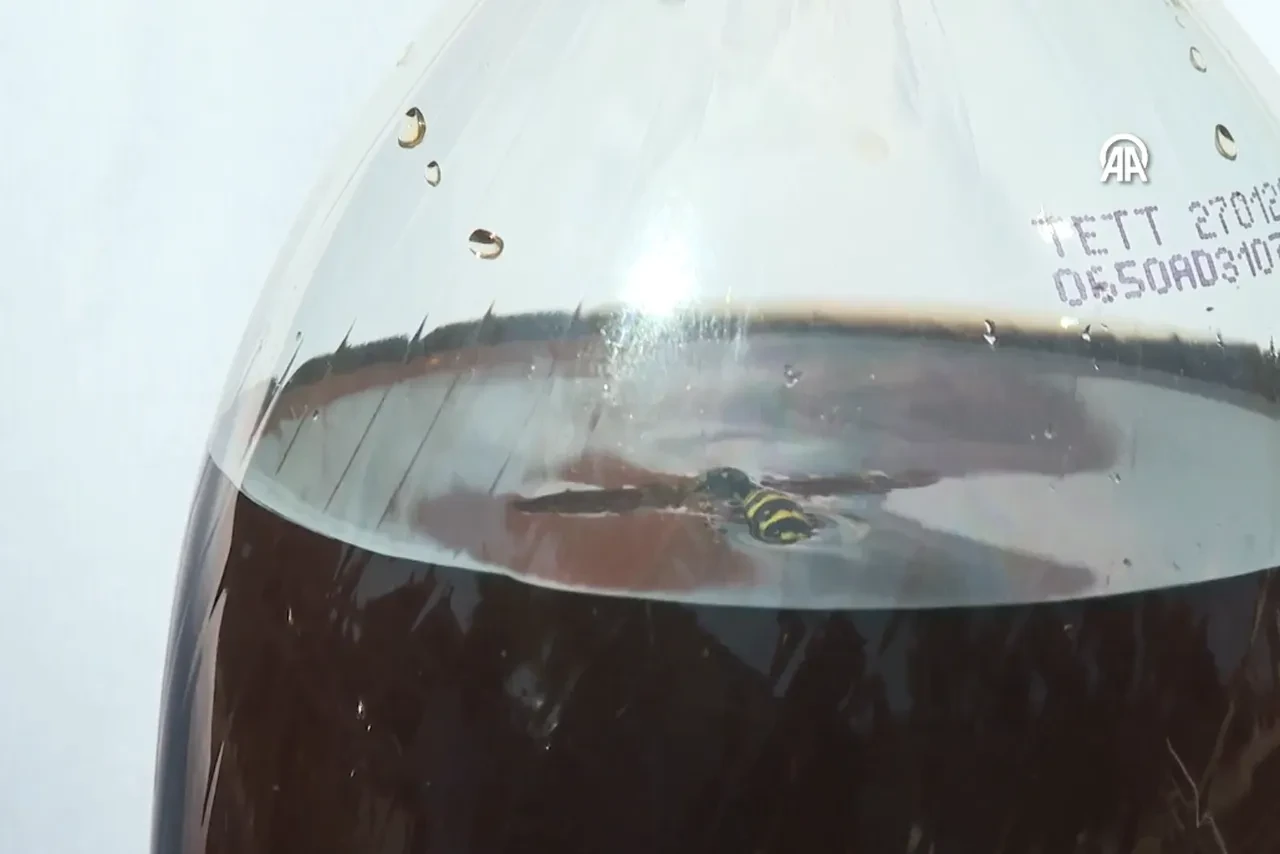 Kolanın içinden çıkanı görünce şoke oldular!