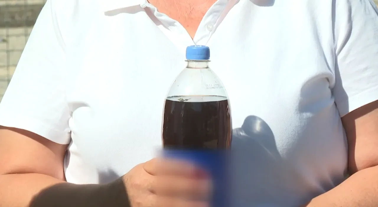 Kolanın içinden çıkanı görünce şoke oldular!